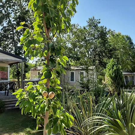 Camping Le Clos Lalande Camping Montricoux