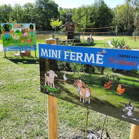 Camping Le Clos Lalande * Montricoux